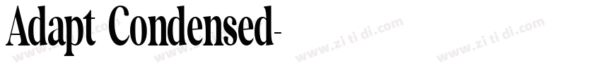 Adapt Condensed字体转换